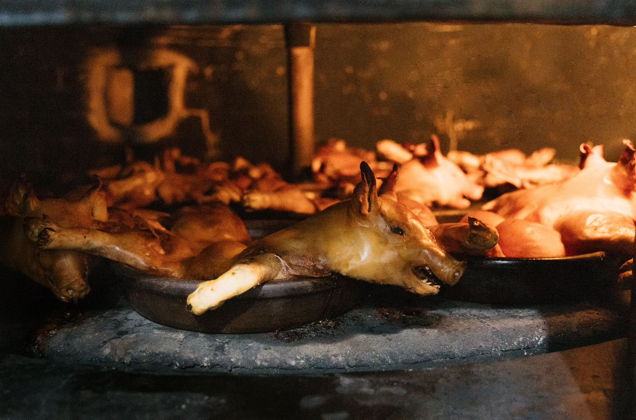 2. Preparación del Cochinillo
